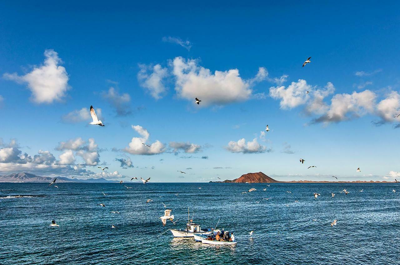 Little Paradise コラレホ エクステリア 写真